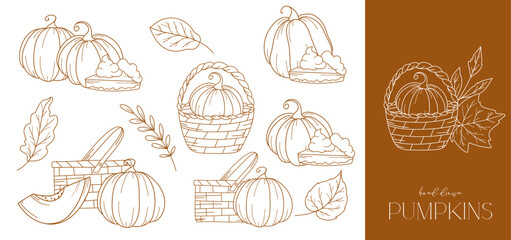 Pumpkins outline isolated on white. Pumpkins line art ilustration. Fall Pumpkins Hand Drawn. Fall Coloring Page. Thanksgiving graphics