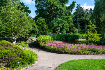 Colorful flowers at the horticultural gardens of the University of Copenhagen, Denmark