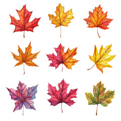 Obraz premium Vibrant watercolor autumn leaves in various colors showcasing the beauty of fall foliage in a creative arrangement.