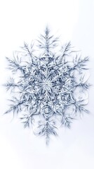 Enchanting Winter Fairy Tale: Intricate Snowflake Illustration in Magical Style on White Background