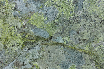 Felsen in den Alpen mit grünem Moos. Detail. Hintergrund