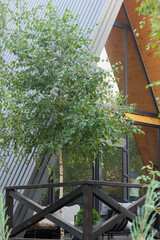 A-frame House. Modern new frame country house standing in a mixed forest in front of the camera against the backdrop of trees.