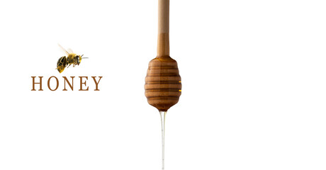 honey dripping from a honey dipper. honey dripping from honey stick , honey with bee. white background. 