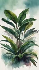 Watercolor illustration of tropical ti plant with soft blending and airy transitions.