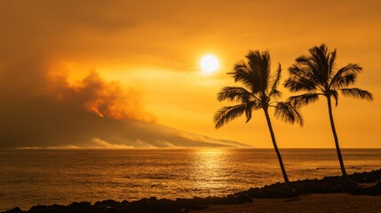 Devastating Wildfire Engulfs Maui, Hawaii: Scene of Destruction and Damage