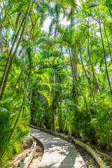 Naklejka premium Park near The House-Museum of Ernest Hemingway in the suburbs of Havana on the Finca Vigia estate, where the famous writer lived intermittently for about twenty years in Havana, Cuba