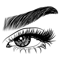 Illustration with woman's eye, eyelashes and eyebrow. Makeup Look. Tattoo design. Logo for brow bar or lash salon.