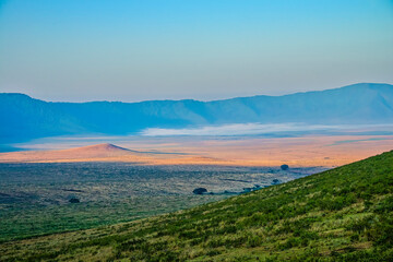 Fototapeta premium Early Morning in the Ngorongoro Crater
