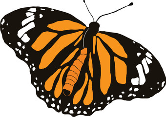 Monarch butterfly with open wings vector illustration