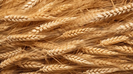 Ripe wheat ears background pattern. Neural network ai generated art