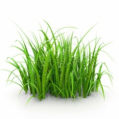 a 3D Japanese grass with dew drops, fresh look, green blades with water droplets, isolated on white background