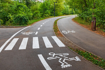 Obraz premium Bicycle and pedestrian paths in a city garden or park. White markings on the asphalt with symbols of a cyclist, a person on roller skates and a woman with a stroller