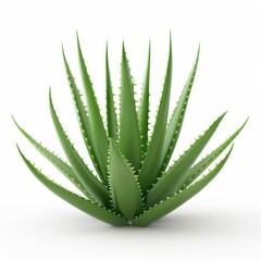 Aloe vera plant, succulent element, realistic 3D render, vivid green, isolated on white background