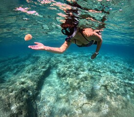 Young girl snorkeling with marine life underwater, in the clear warm ocean with rocky seabed. Travel photo with the woman snorkeler in the sea. Turquoise water and swimming tourist. 