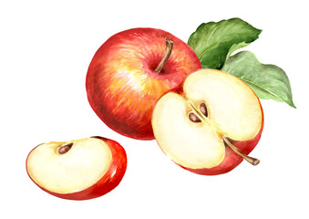Red sweet Apple fruits with green leaves. Hand drawn watercolor illustration, isolated on white background