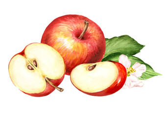 Red sweet Apples with flower green leaves. Hand drawn watercolor illustration, isolated on white background