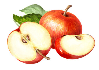 Red sweet Apples with green leaves. Hand drawn watercolor illustration, isolated on white background