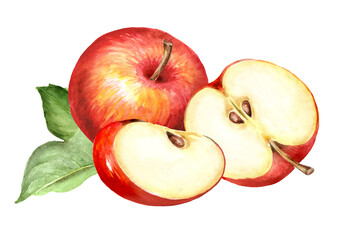 Red sweet Apples, Hand drawn watercolor illustration  isolated  on white background