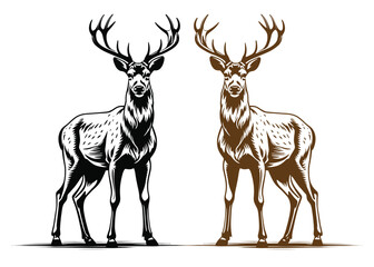 Beautiful deer vector  silhouette on white background
  