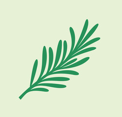 Rosemary branch. Isolated rosemary on white background