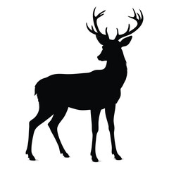 Beautiful deer vector  silhouette on white background
  