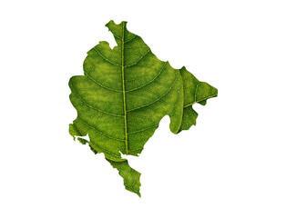 Montenegro map made of green leaves ecology concept
