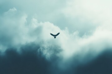 A lone bird in flight against a cloudy sky