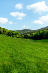 Eine wunderschöne frühlingshafte Wanderung rund um den Pleß Berg & der Burgruine Frankenberg bei Breitungen - Thüringen - Deutschland