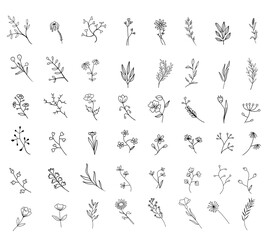 A set of flower designs are shown in black and white. The flowers are stylized and appear to be from a nature-inspired collection
