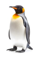 Fototapeta premium Emperor Penguin on White Background, Photo Realistic, Wallpaper, Cover and Screen for Smartphone, PC, Laptop, 9:16 and 16:9 Format