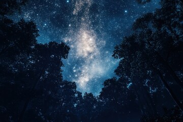 Obraz premium Silhouetted trees against a starry night sky.