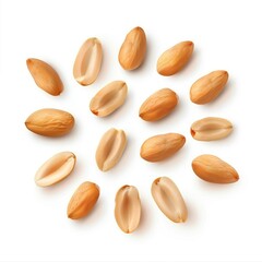 Obraz premium Peanut seeds, snack ingredient element, minimalist vector design, warm brown, isolated on white background