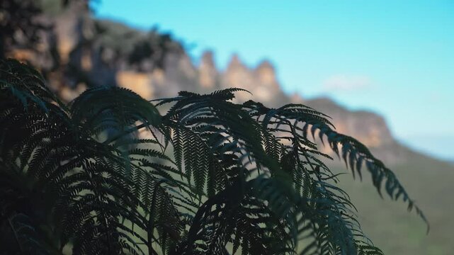 Wide townscape panorama of Blackheath in Blue Mountains of Australia as 4k.