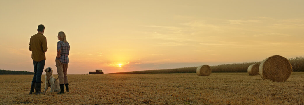 Two farmers admire the sunset over a field with a Golden Retriever by their side,wide shot