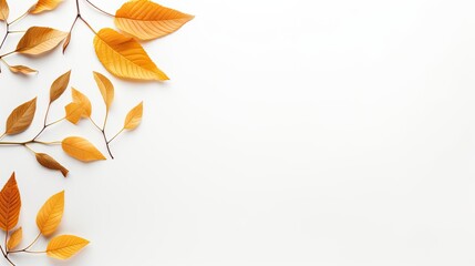 A top view of a minimalistic arrangement of golden autumn leaves scattered on a pure white background. 