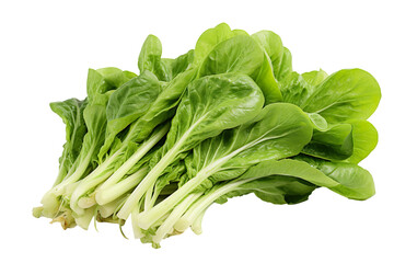 Bok choy vegetable isolated on clear white and transparent background