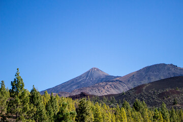 Fototapeta premium Mountain Peak over the trees