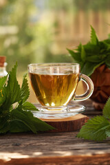 A cup of herbal tea with fresh stinging nettle leaves outdoors