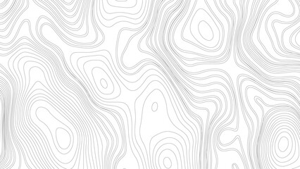 Black and white abstract background vector, Topographic background and texture, monochrome image. 3D