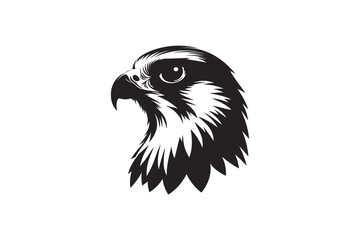 Eagle vector and silhouette