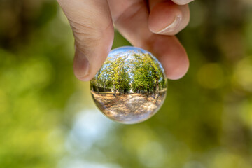 Forest Path in Lens Ball.
A forest path beautifully refracted in a lens ball, offering a unique perspective on nature.