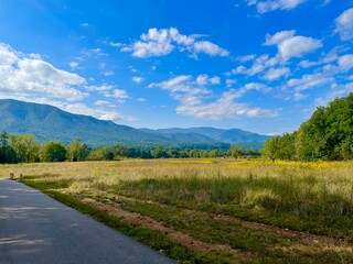 Fototapeta premium Landscape