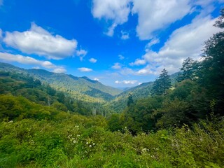 Obraz premium Landscape
