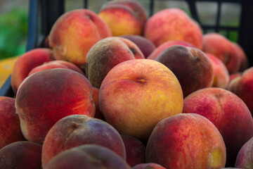 Peach