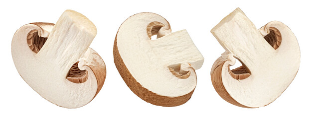 Brown champignon mushroom slices isolated on white background, full depth of field