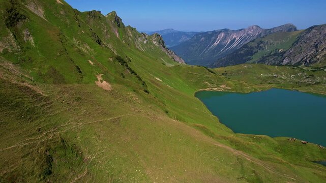 4K Aerial Drone video of the most beautiful mountain lake Schrecksee in Bavarian Alps with the cows feeding on lush green grass on a sunny day with blue skies and rocky hill tops surrounding