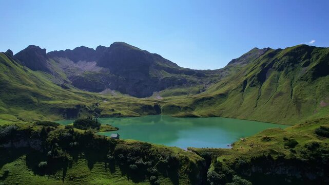4K Aerial Drone video of the most beautiful mountain lake Schrecksee in Bavarian Alps with the cows feeding on lush green grass on a sunny day with blue skies and rocky hill tops surrounding