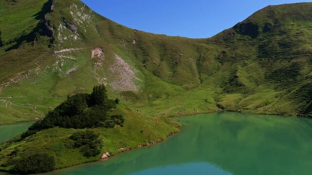 4K Aerial Drone video of the most beautiful mountain lake Schrecksee in Bavarian Alps with the cows feeding on lush green grass on a sunny day with blue skies and rocky hill tops surrounding