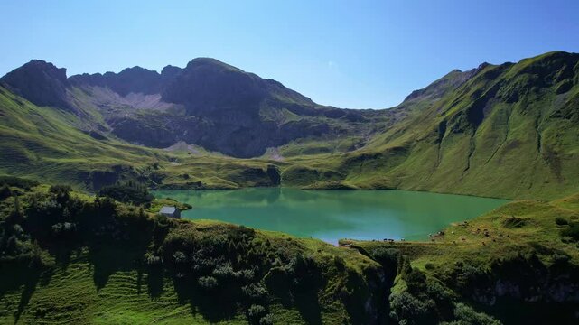 4K Aerial Drone video of the most beautiful mountain lake Schrecksee in Bavarian Alps with the cows feeding on lush green grass on a sunny day with blue skies and rocky hill tops surrounding