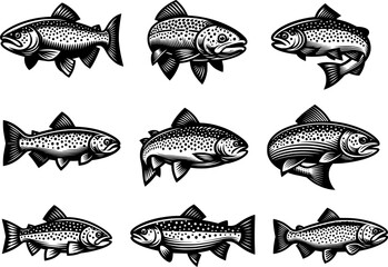 trout fish set